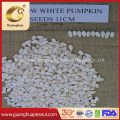 Good Quanlity European Standard Snow White Pumpkin Seeds